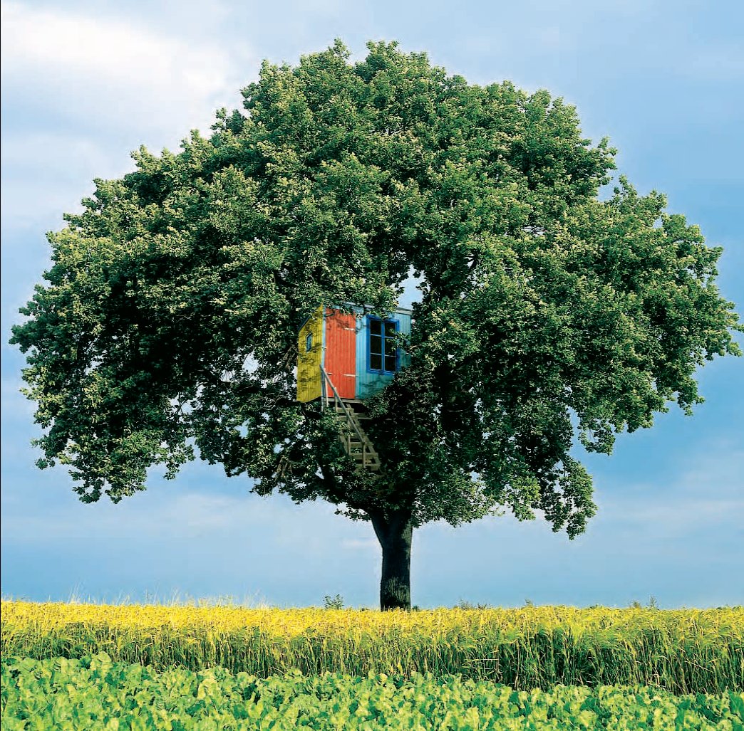 Scented candles, Formaldehyde, Paint and Plants (Part 1) Celtic Sustainables